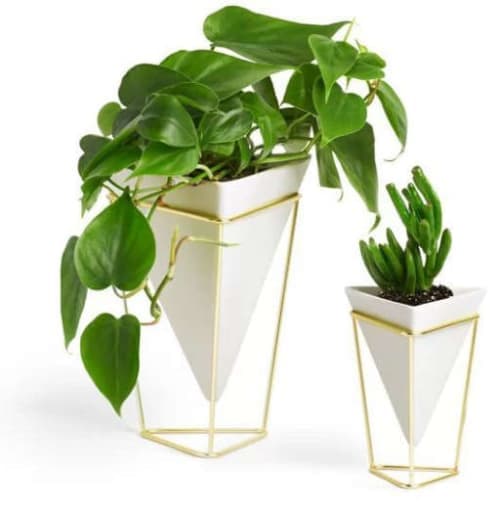 Trigg 2 Pieces Table Vase Set image