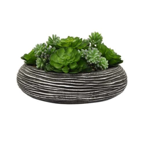Faux Desktop Succulent Plant in Pot image