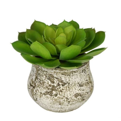 Artificial Echevaria Succulent Desk Top Plant image