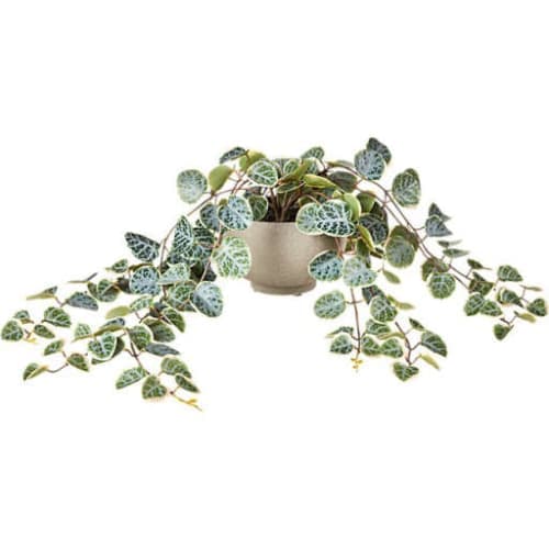 Potted Faux Eucalyptus 8" image