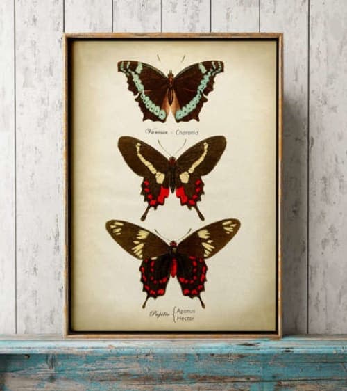 butterflies wall decor  12''x16'' image