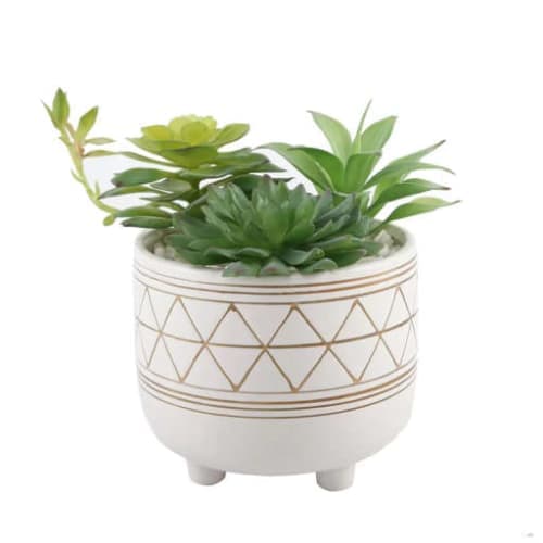Artificial Succulent Plant in Pot image