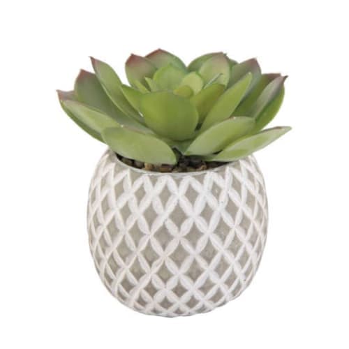 Faux Cement Pineapple Agave Plant in Planter image