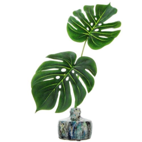Tropical Leaves Desktop Foliage Plant in Vase image