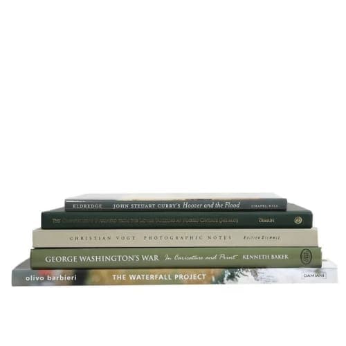 5 Piece Boxwood Authentic Decorative Book Set image