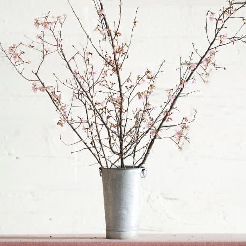 Seasonal Pink Blossom Branches image