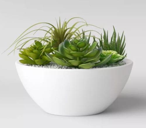 Artificial Mixed Succulent Garden in Ceramic Bowl White image