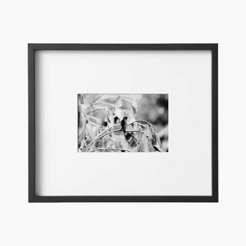 Gallery Black Frame-4''x6'' image