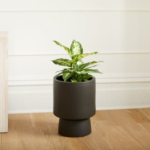 Bishop Indoor Outdoor Pedestal Planters image