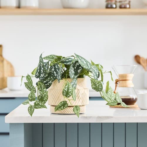 Faux Potted Green Leaf Plant image