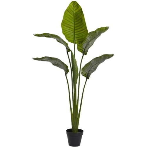 60in. Travelers Palm Tree UV Resistant (Indoor/Outdoor) Bay Isle Home™ image