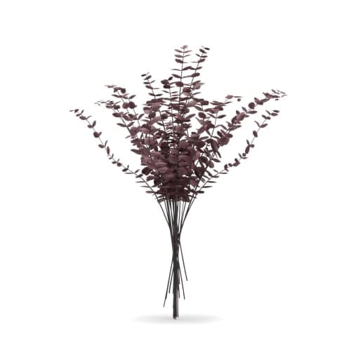 Dried Eucalyptus Bundle Red image