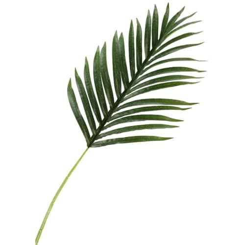 Medium Hawaiian Palm Leaf Stem Set of 3 image