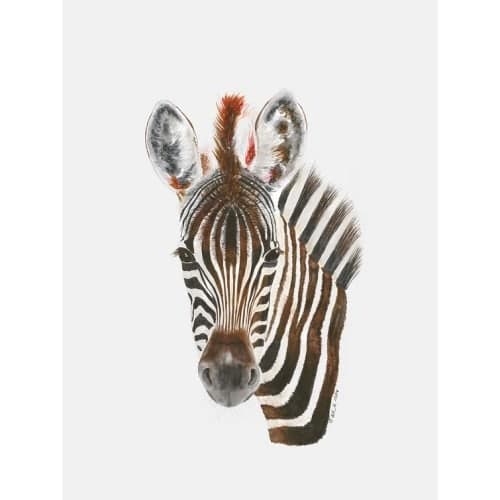 Spires Baby Zebra Portrait Without Frame 10"x14" image