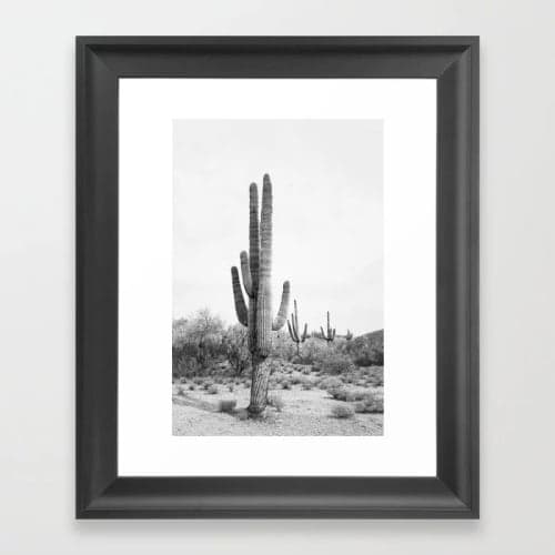 Desert Cactus BW Framed Art Print image