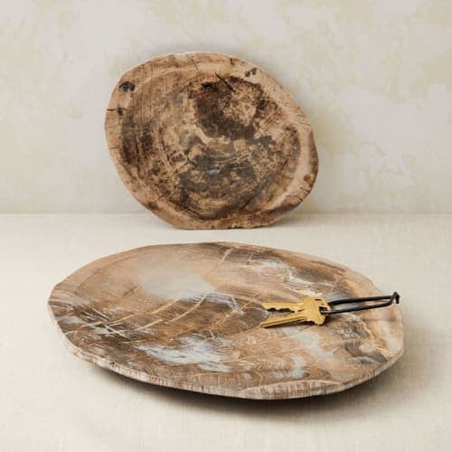 Petrified Wood Tray image