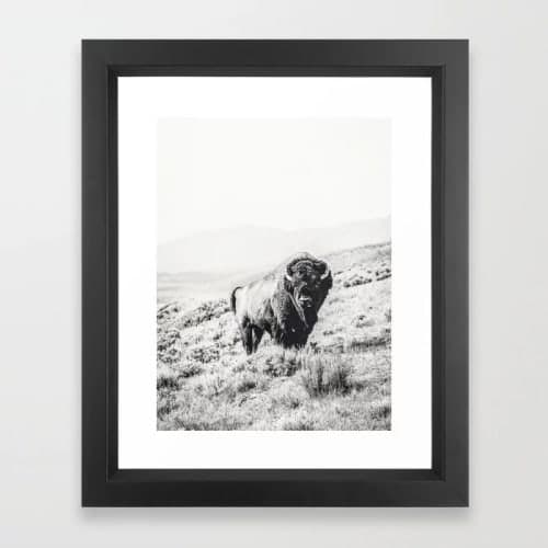 Nomad Buffalo Framed Art Print image