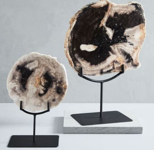 Petrified Wood Object on Stand image