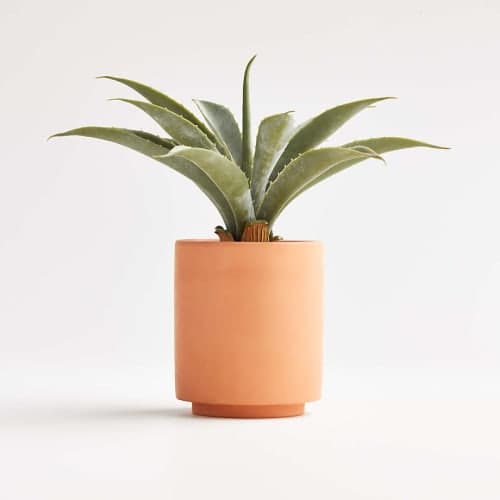 Artificial Aloe in Terracotta Pot image