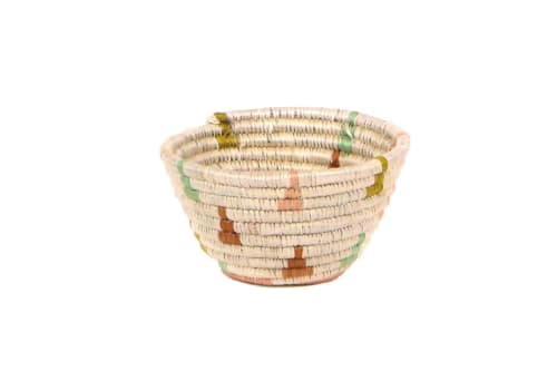 Tiny Desert Flower Catch All image