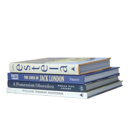 4 Piece Modern Coastal Shores ColorStak Decorative Book Set image