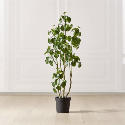 POTTED COIN TREE image