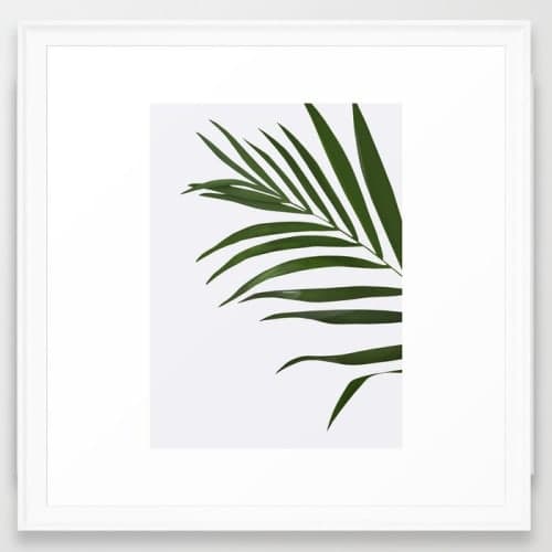 Fern Framed Art Print image