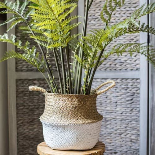 Pop Up Belly Wicker Basket image