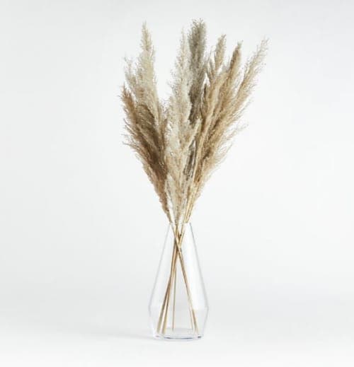 Grass Plume Arrangement2 image