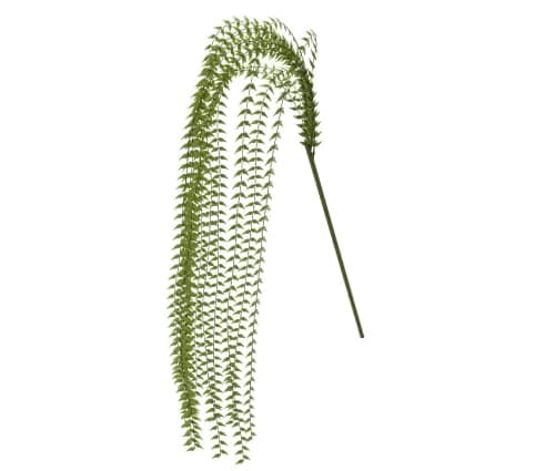 Faux Baker Fern Plant Stem image