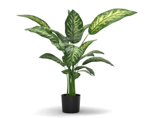 Faux Dieffenbachia Plant image