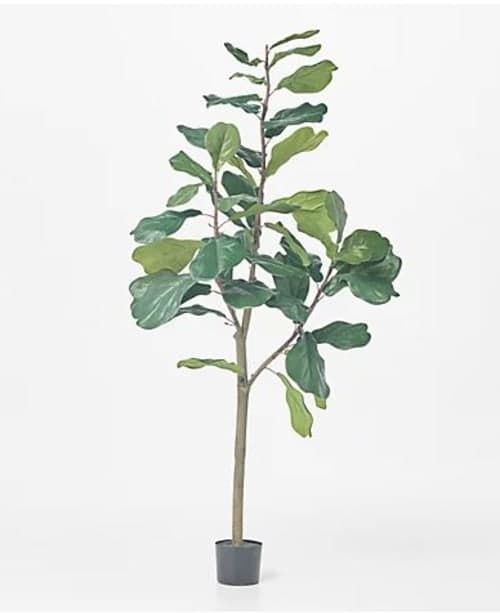 6 Faux Fiddle Leaf Tree in Starter Pot image