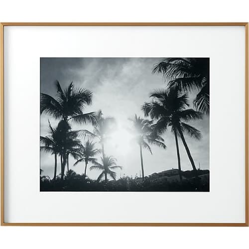 Gallery Brass Frame with White Mat-16''x20'' image