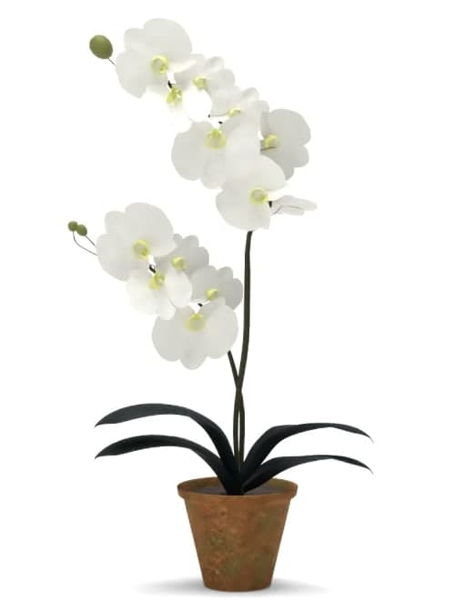 Faux Potted Orchid image