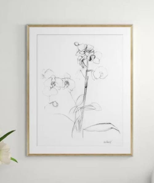 Orchid Studies Framed Drawing Print image