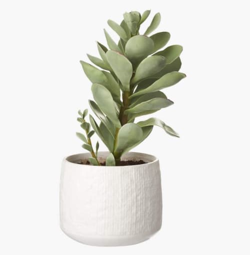 Potted Faux Succulent image