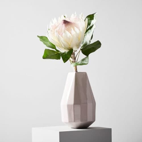 Faux white King Protea Plant Stem image