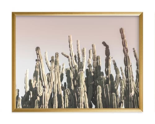 Summer Cactus image