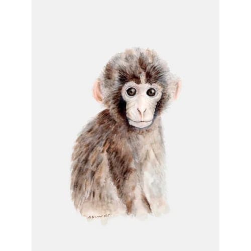 Braziel Baby Monkey Portrait Canvas Art No Frame 10"x14" image