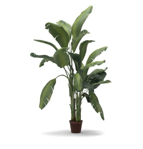 Faux Banana Tree image